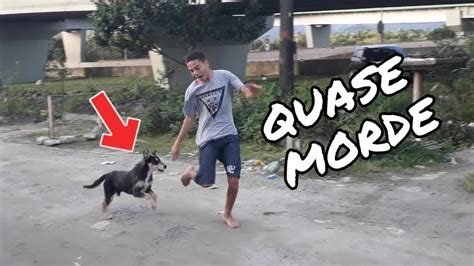 homem comendo o cu do cachorro|WH3